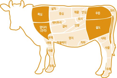 부위정보