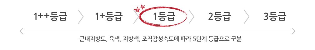 한우 세트 등급