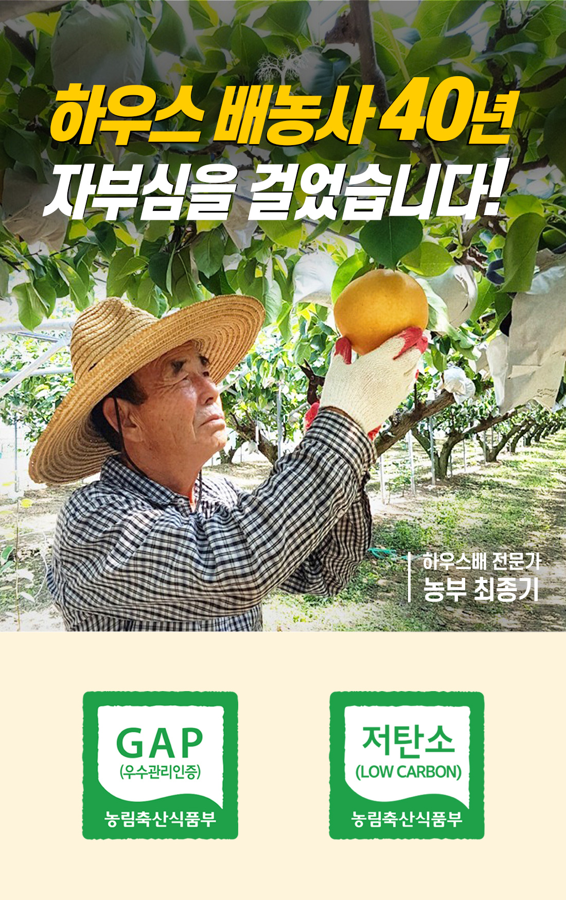 나주배 인증