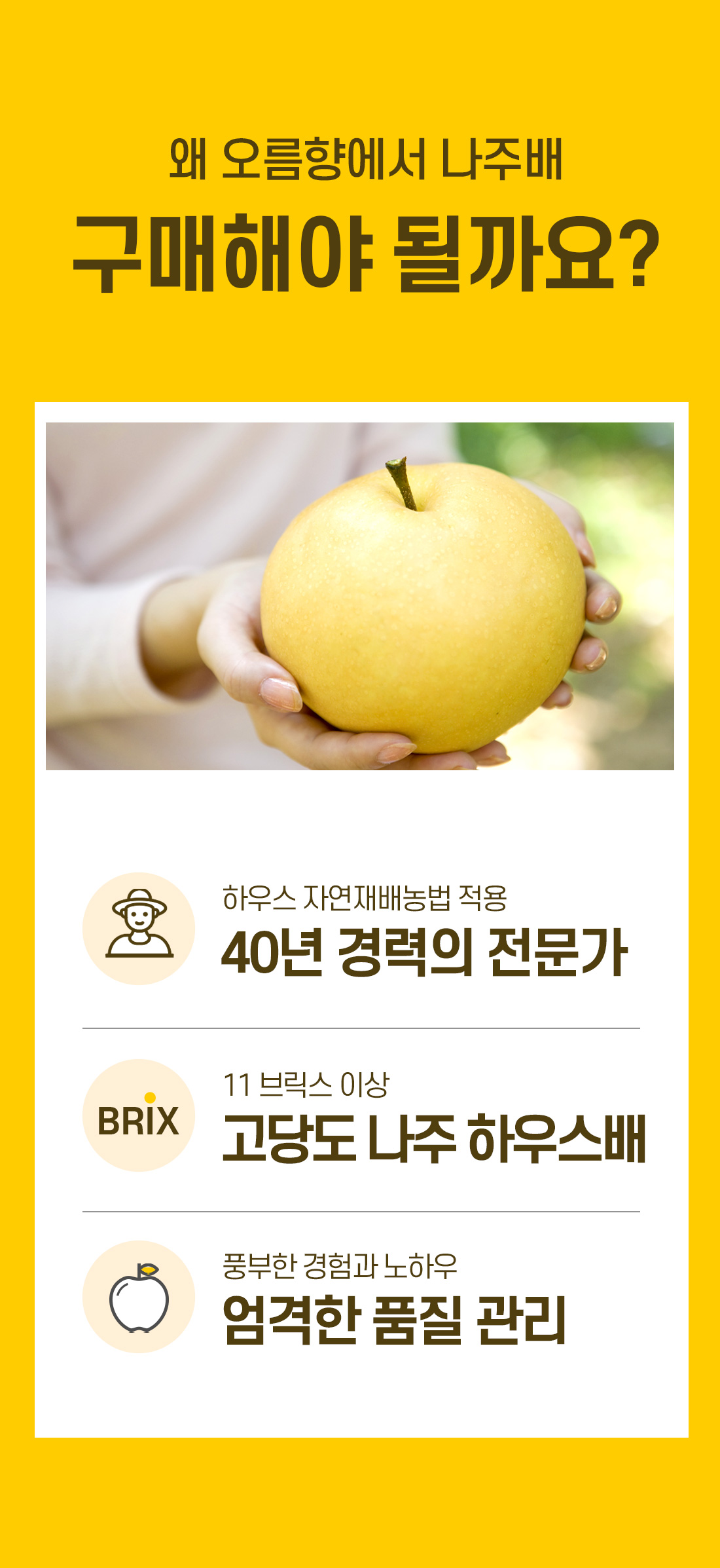 나주배 구매해야하는 이유