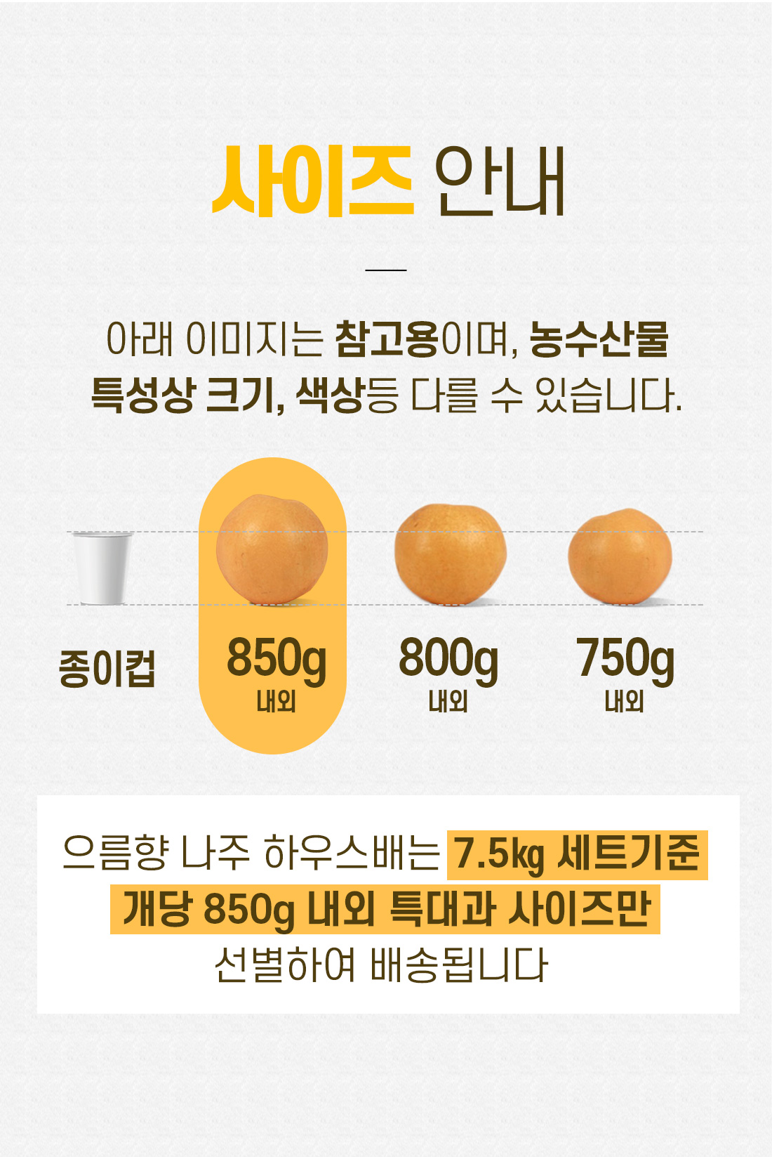 사이즈 안내