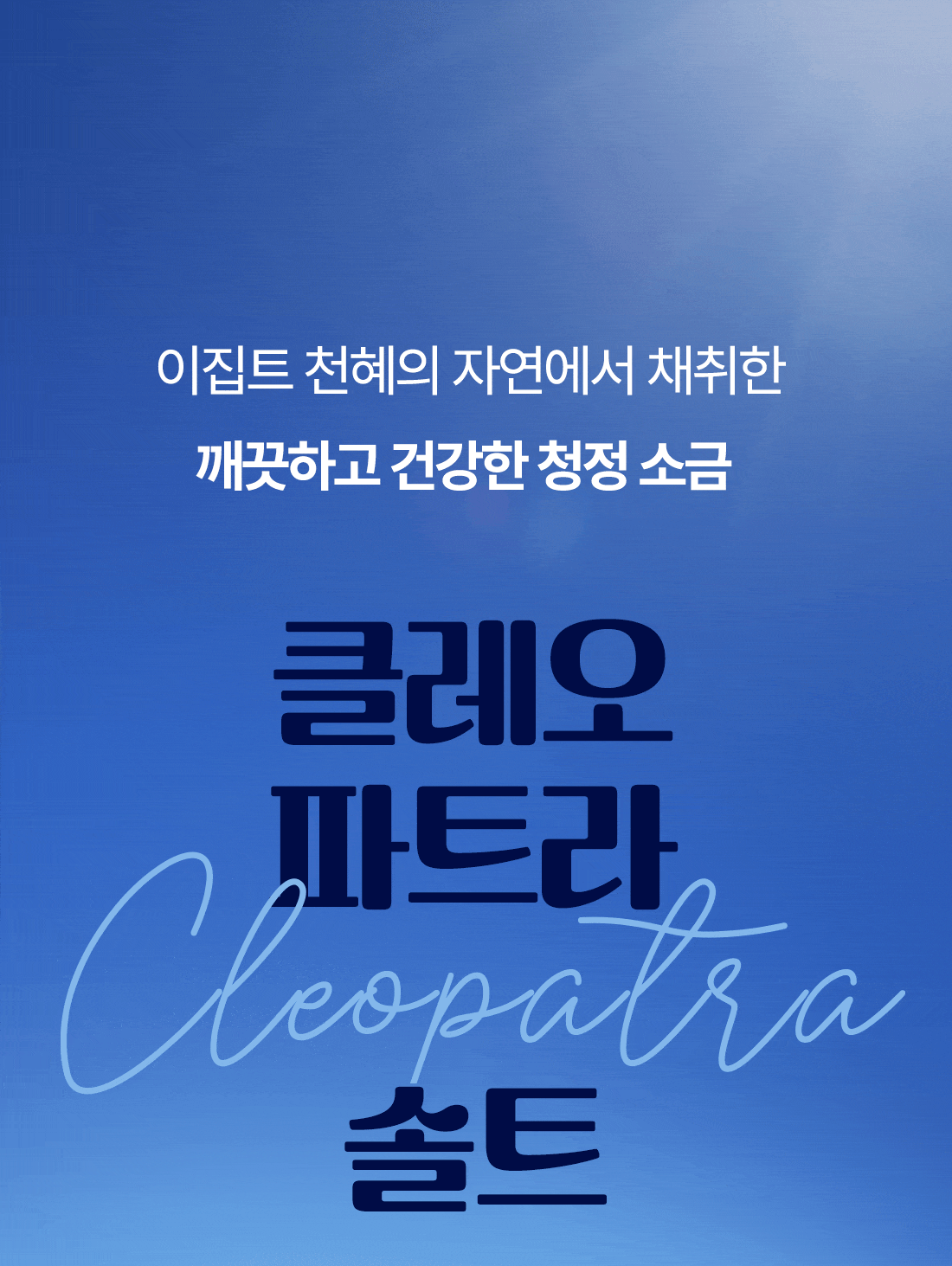 인트로
