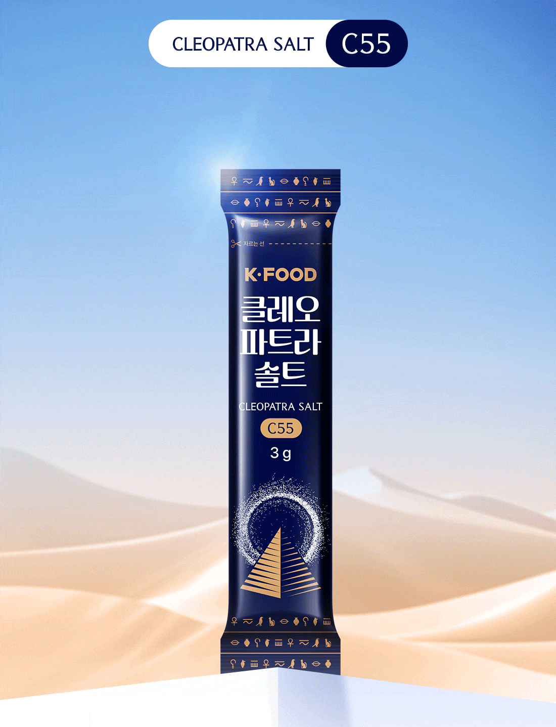 인트로