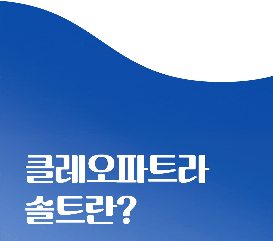 청정소금