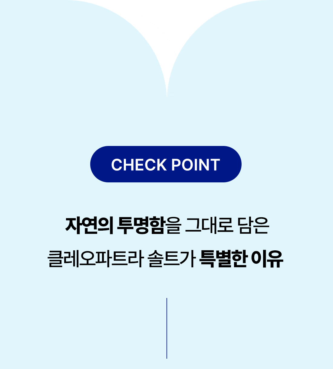 특별한이유