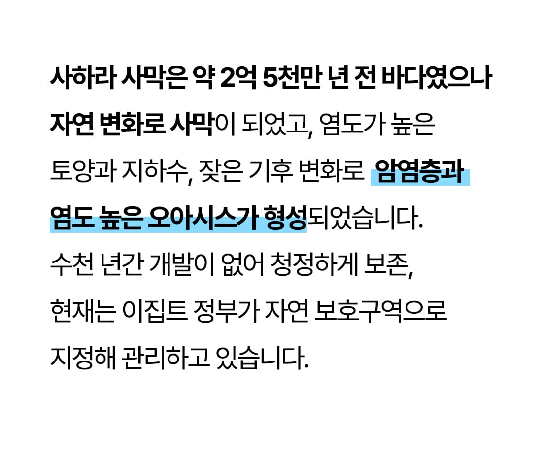 포인트1