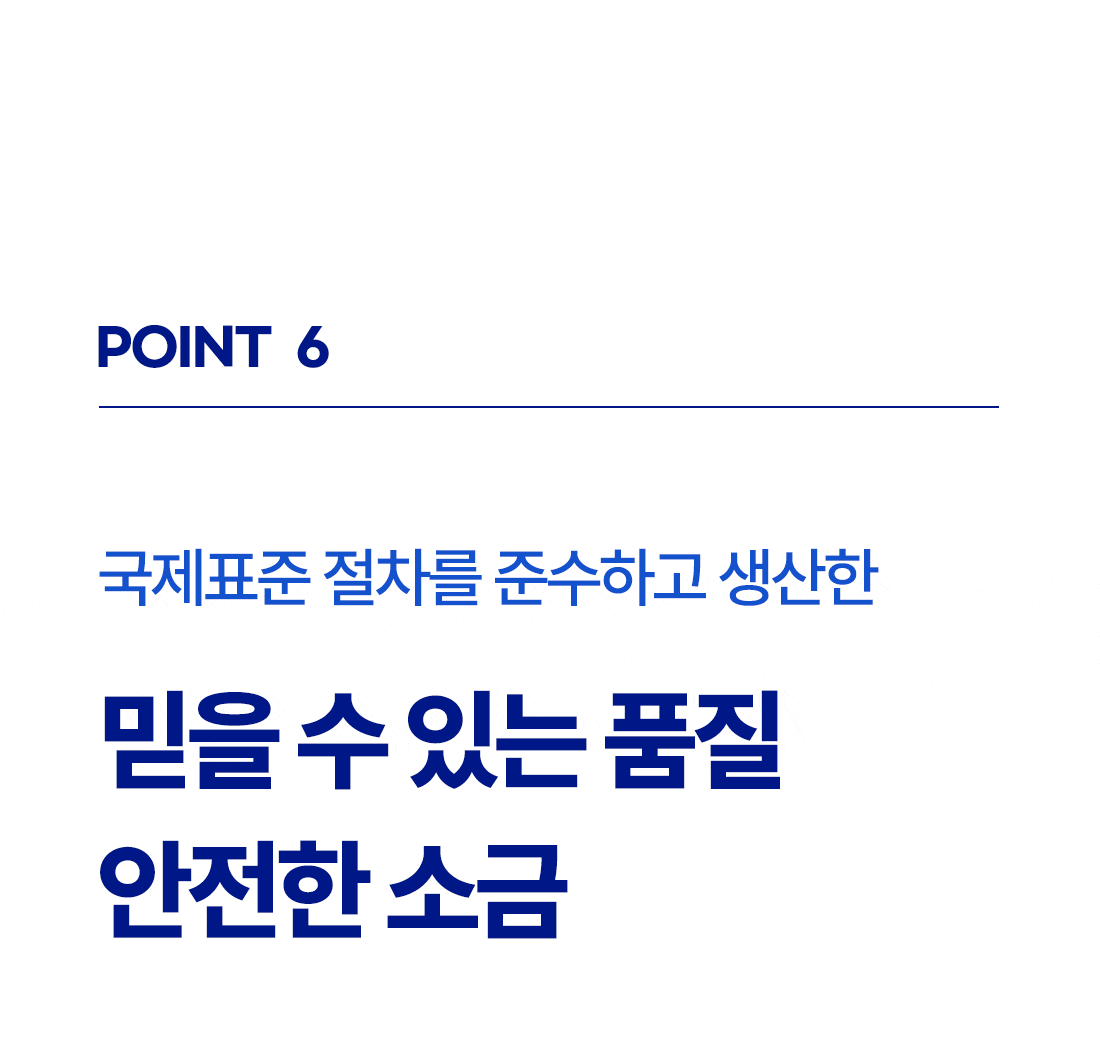 포인트6