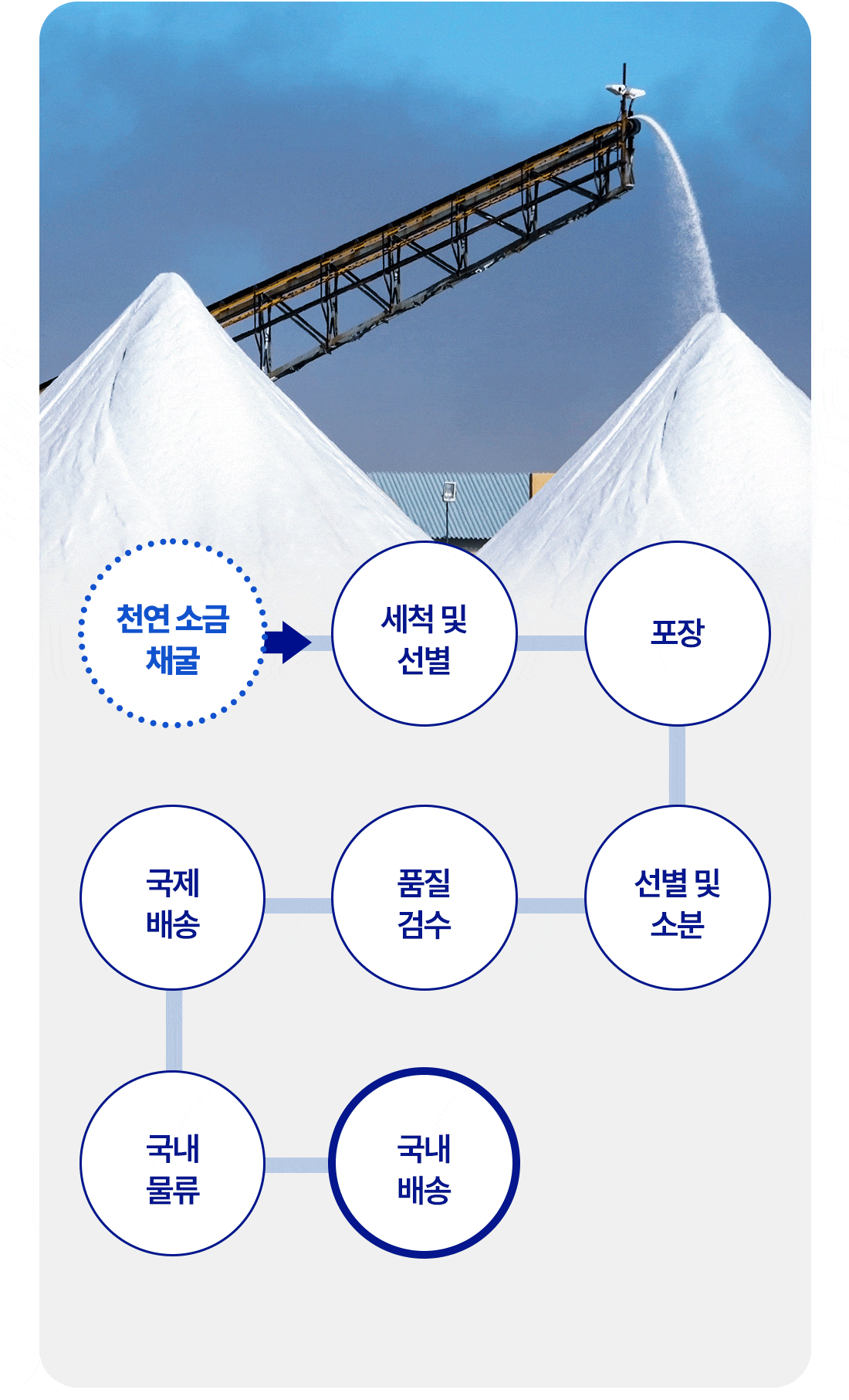 포인트6