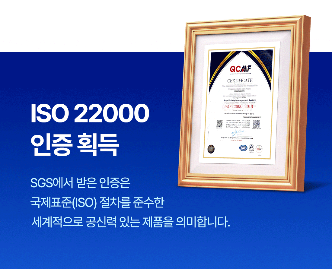 포인트6